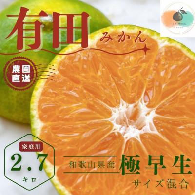 ふるさと納税 有田川町 [先行予約]極早生 家庭用 有田みかん 箱込み3キロ(2.7キロ)[有田川町] サイズ混合