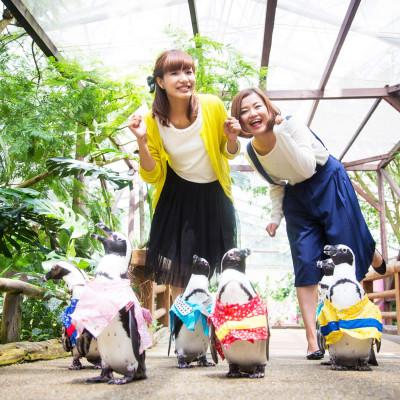 ふるさと納税 松江市 松江フォーゲルパークペア入園券 |  | 01