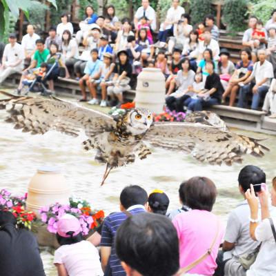 ふるさと納税 松江市 松江フォーゲルパークペア入園券 |  | 03