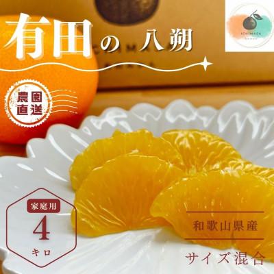 ふるさと納税 有田川町 [先行予約]八朔 家庭用 有田の八朔 4キロ [和歌山県] サイズ混合