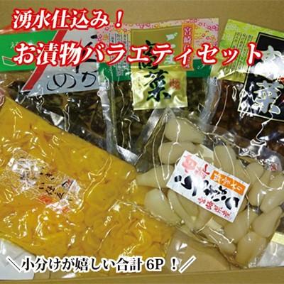 ふるさと納税 小林市 [国産素材の宮崎お漬物]湧水仕込みのお漬物 ごはんのお供よくばりセット(B049 )