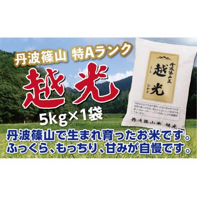ふるさと納税 丹波篠山市 丹波篠山産 特Aランク 越光 (5kg×1袋 精米)