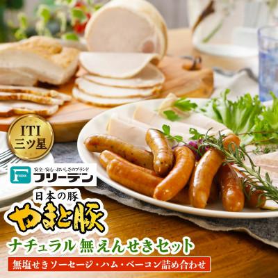 ふるさと納税 伊勢原市 フリーデン やまと豚 ナチュラル無塩せきセット [0365]