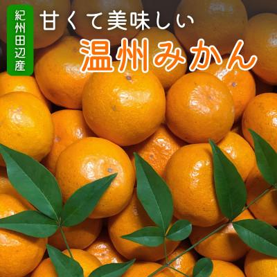 ふるさと納税 田辺市 [先行予約]温州みかん10kg(S〜Mサイズ)※11月中旬〜12月下旬に順次発送[kjt006-1]