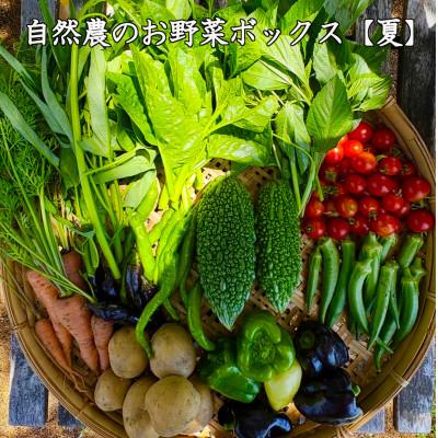 ふるさと納税 小豆島町 [自然農]季節のお野菜セット(約10品)