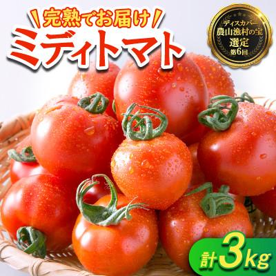 ふるさと納税 小浜市 若狭の恵 めぐみでぃトマト 計3kg
