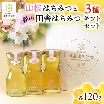 ふるさと納税 五霞町 [数量限定]山桜はちみつと春の田舎はちみつの3種ギフトセット 120g×3本