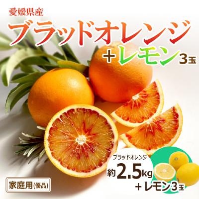 ふるさと納税 松山市 2026年[3月下旬頃から発送予定]ブラッドオレンジ(優品)約2.5kgと瀬戸内海の島レモン3玉入り