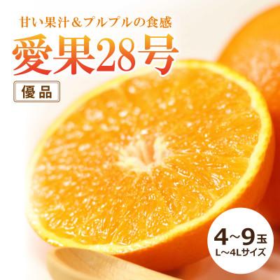 ふるさと納税 松山市 2025年[11月中旬頃から順次発送]愛果[優品]約1.8kg 4〜9玉/L〜4L