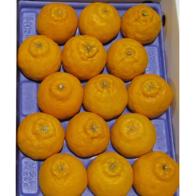 ふるさと納税 琴平町 [令和8年2月〜3月頃発送予定]不知火 約3kg