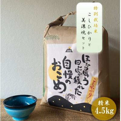 ふるさと納税 多治見市 [令和7年産:精米]特別栽培米コシヒカリ(4.5kg)+[美濃焼]青輝貫入煎茶(2個)