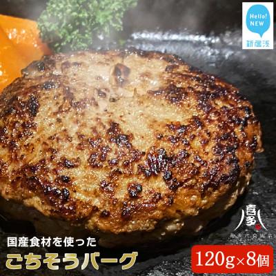 ふるさと納税 新居浜市 ハンバーグ 国産食材のごちそうバーグ(約120g×8個) 冷凍[お肉博士がいるお店]