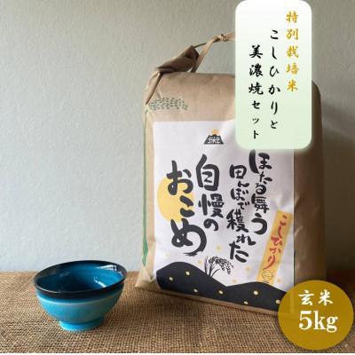 ふるさと納税 多治見市 [令和7年産:玄米]特別栽培米コシヒカリ(5kg)+[美濃焼]青輝貫入煎茶(2個)