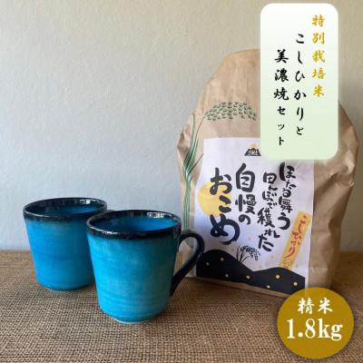 ふるさと納税 多治見市 [令和7年産:精米]特別栽培米コシヒカリ(1.8kg)+[美濃焼]青輝貫入マグカップ(2個)
