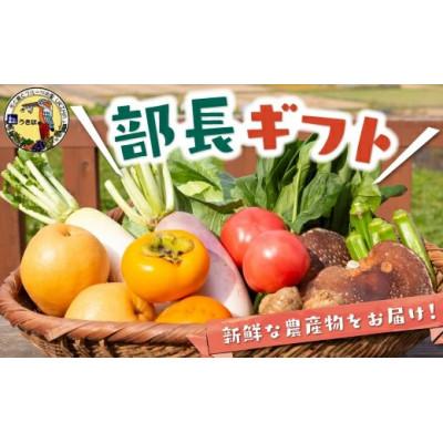 ふるさと納税 うきは市 部長ギフト(季節の果物・お野菜) U064