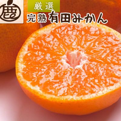ふるさと納税 上富田町 プレミアム 完熟有田みかん2.5kg+250g(傷み補償分)[光センサー選果][温州みかん]