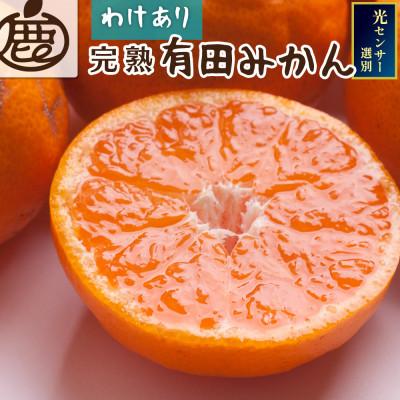 ふるさと納税 上富田町 家庭用 完熟有田みかん1kg+250g(傷み補償分)[光センサー選果][訳あり]