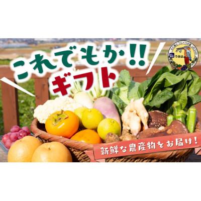 ふるさと納税 うきは市 これでもか!!ギフト(季節の果物・お野菜) U064