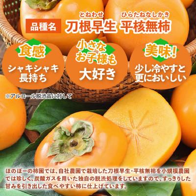 ふるさと納税 あわら市 【訳あり】甘みすっきり!あわらのたねなし柿 約3.5kg(18個入)(ご家庭用) |  | 01