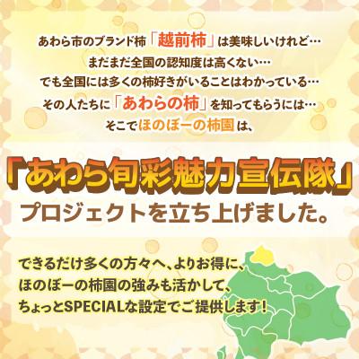 ふるさと納税 あわら市 【訳あり】甘みすっきり!あわらのたねなし柿 約3.5kg(18個入)(ご家庭用) |  | 02