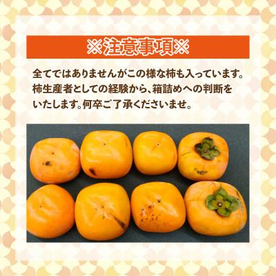 ふるさと納税 あわら市 【訳あり】甘みすっきり!あわらのたねなし柿 約3.5kg(18個入)(ご家庭用) |  | 03