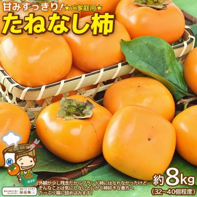 ふるさと納税 あわら市 [訳あり] 甘みすっきり!あわらのたねなし柿 約8kg(32個〜40個)(ご家庭用)