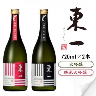 ふるさと納税 嬉野市 東一 大吟醸・純米大吟醸 720ml 2本