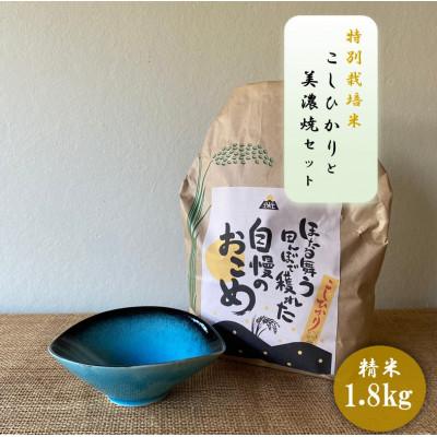 ふるさと納税 多治見市 [令和7年産:精米]特別栽培米コシヒカリ(1.8kg)+[美濃焼]青輝貫入楕円小鉢(2個)