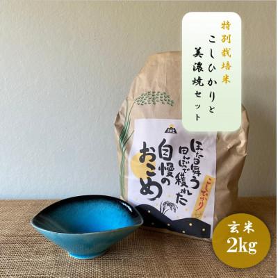 ふるさと納税 多治見市 [令和7年産:玄米]特別栽培米コシヒカリ(2kg)+[美濃焼]青輝貫入楕円小鉢(2個)