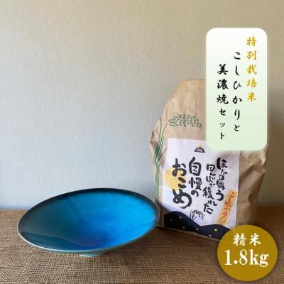 ふるさと納税 多治見市 [令和7年産:精米]特別栽培米コシヒカリ(1.8kg)+[美濃焼]青輝貫入7寸鉢