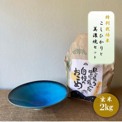 ふるさと納税 多治見市 [令和7年産:玄米]特別栽培米コシヒカリ(2kg)+[美濃焼]青輝貫入7寸鉢