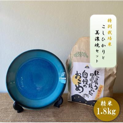 ふるさと納税 多治見市 [令和7年産:精米]特別栽培米コシヒカリ(1.8kg)+[美濃焼]青輝貫入7寸皿