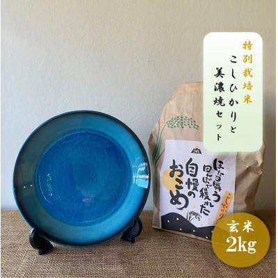 ふるさと納税 多治見市 [令和7年産:玄米]特別栽培米コシヒカリ(2kg)+[美濃焼]青輝貫入7寸皿