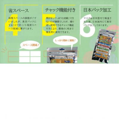 ふるさと納税 越谷市 災害時長期備蓄用　不織布3層マスク 12枚入　20袋_2