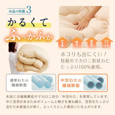 ふるさと納税 柳川市 防ダニ抗菌 掛け布団 セミダブルロング (オリーブグレー色) 東洋紡フィルハーモニー使用 |  | 02