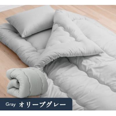 ふるさと納税 柳川市 防ダニ抗菌 掛け布団 ダブルロング (オリーブグレー色) 東洋紡フィルハーモニー使用