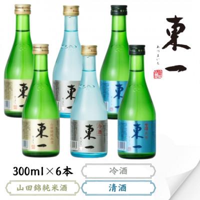 ふるさと納税 嬉野市 東一 飲み比べセットB(山田錦純米酒 冷酒 生酒) 300ml 6本