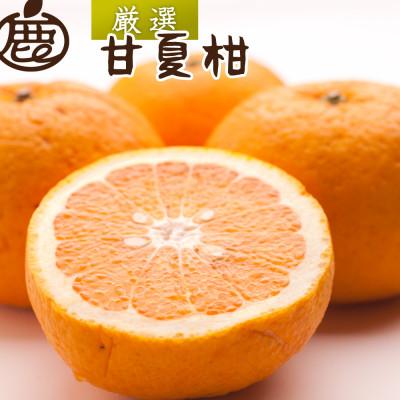 ふるさと納税 上富田町 厳選 甘夏柑1kg+250g(傷み補償分)[初夏のみかん・旬の果物][有田産][光センサー出荷]