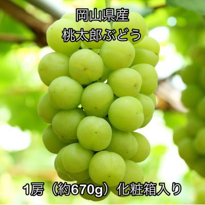 ふるさと納税 倉敷市 [2026年発送]岡山県産 桃太郎ぶどう 1房(約670g)化粧箱入り