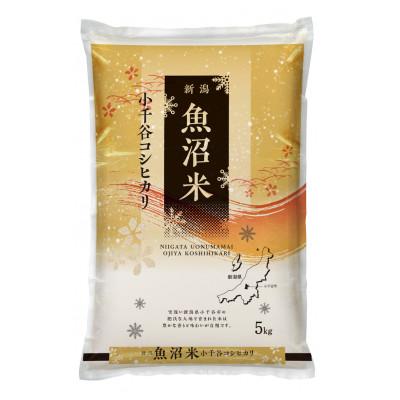 ふるさと納税 小千谷市 雪室貯蔵 魚沼産コシヒカリ 精米 5kg