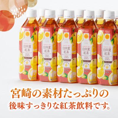 ふるさと納税 川南町 サンA日向夏紅茶HINATA　TEA500mlPET　24本入り(川南町) |  | 01