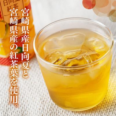 ふるさと納税 川南町 サンA日向夏紅茶HINATA　TEA500mlPET　24本入り(川南町) |  | 02