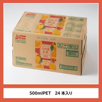 ふるさと納税 川南町 サンA日向夏紅茶HINATA　TEA500mlPET　24本入り(川南町) |  | 03