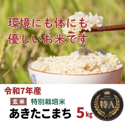 ふるさと納税 大仙市 令和7年産「特別栽培米あきたこまち」玄米5kg おこめのさわた 秋田県産