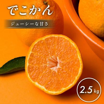 ふるさと納税 今治市 [先行予約][数量限定]ホリ田ヤ でこかん 2.5kg[K002430]