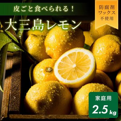 ふるさと納税 今治市 [数量限定]ホリ田ヤ 皮ごと食べられる島育ちレモン2.5kg[K002450]