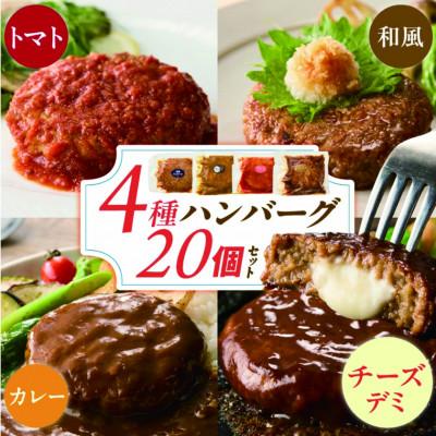 ふるさと納税 久留米市 久留米食べ比べハンバーグ20個セット