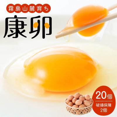 ふるさと納税 えびの市 霧島山麓育ち こだわり卵 康卵 計20個(18個+割れ保証 2個)