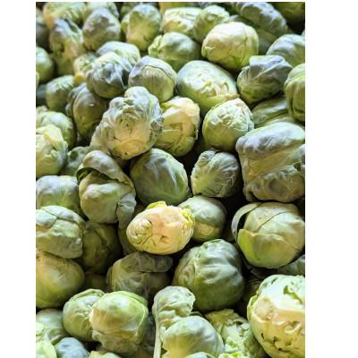 ふるさと納税 秦野市 [2025年1月から発送予定]news every.で特集 芽キャベツ 2,000g