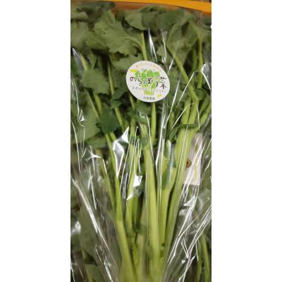 ふるさと納税 秦野市 ええ?大飢饉を救った?[春を告げる野菜]のらぼう菜 1200g